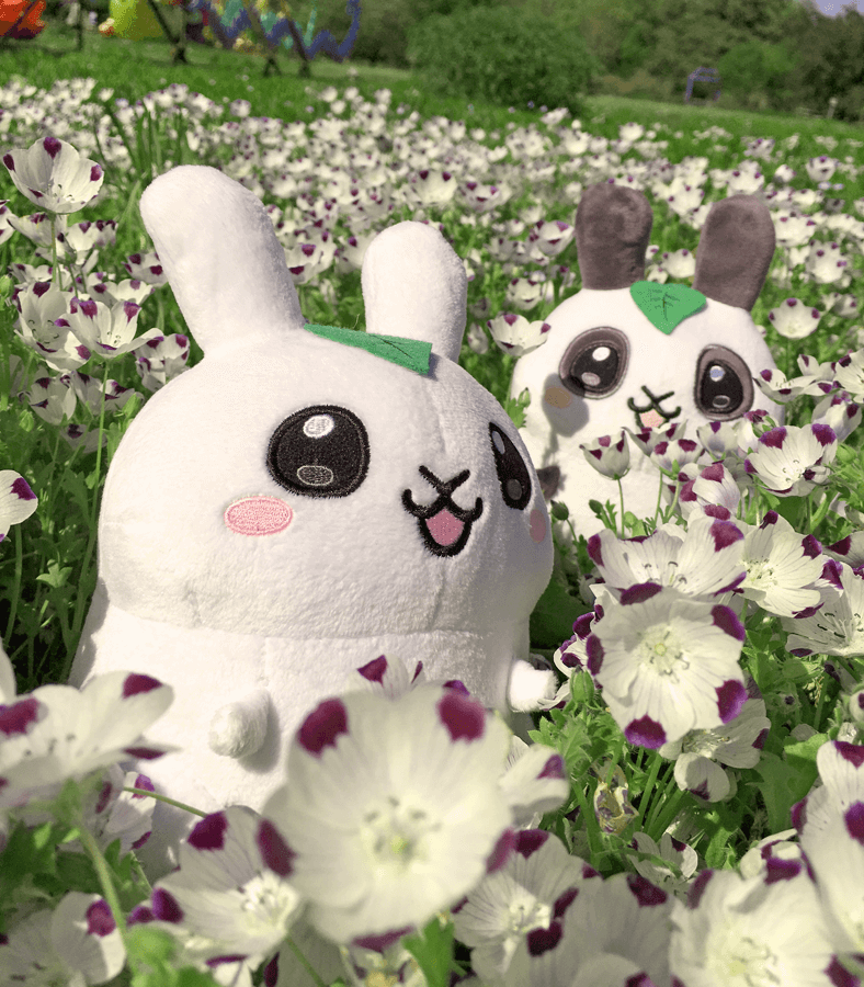 Puddle Bunny plush