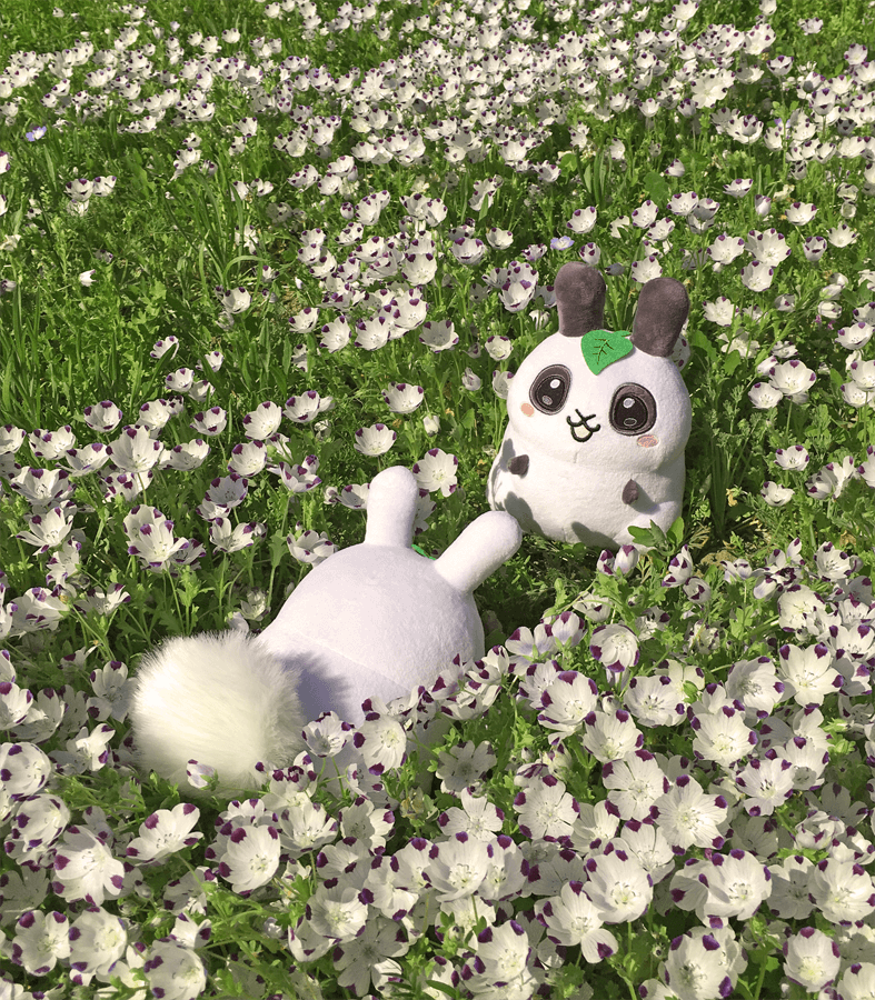 Panda Puddle Bunny Plush – Sugar Bunny Shop